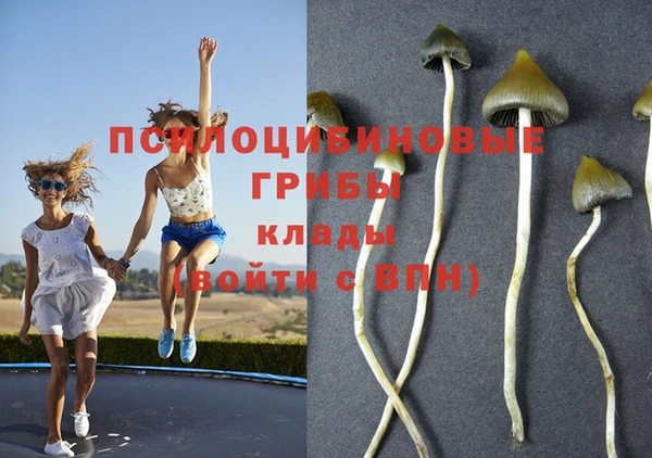 марки nbome Алексин